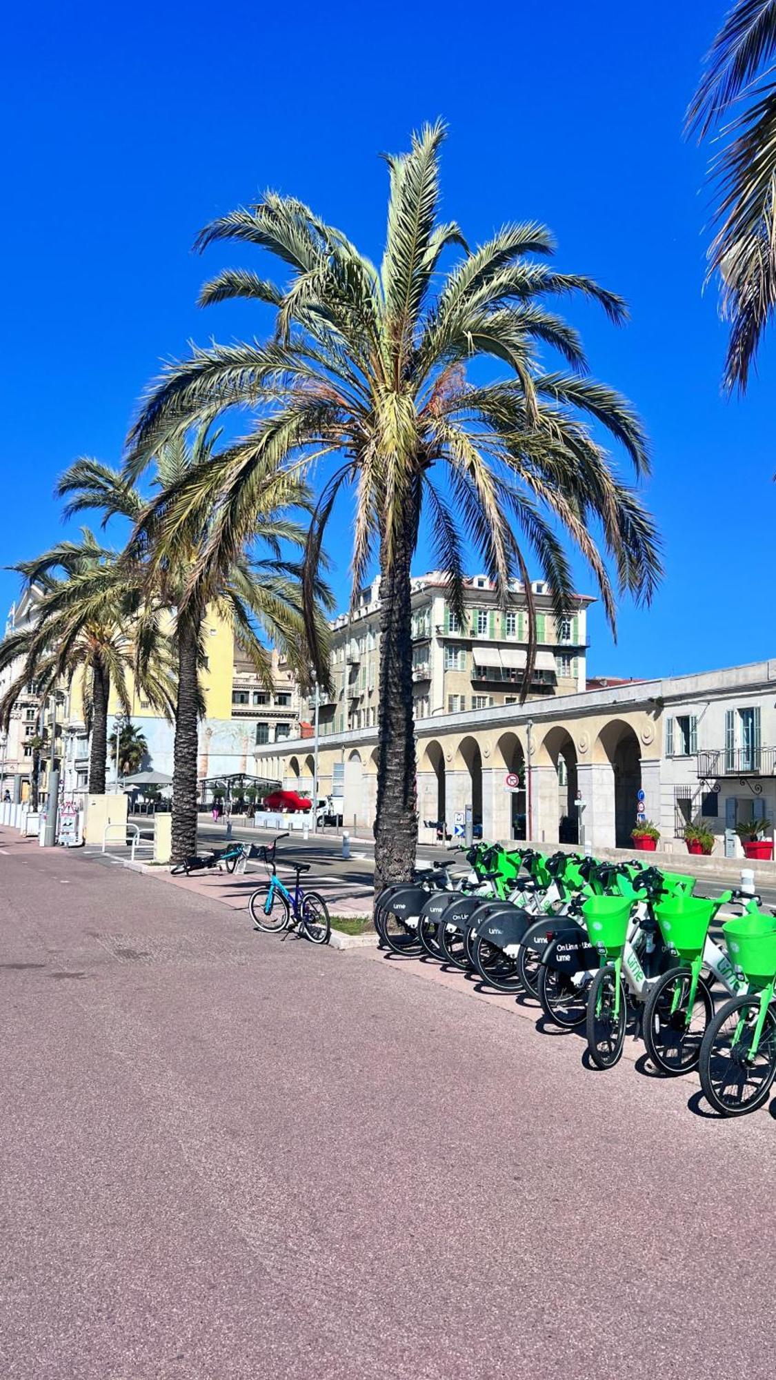 Ferienwohnung Au Petit Bourgeois Nizza Exterior foto